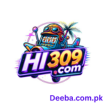HI309 Game