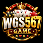 wgs567 Game